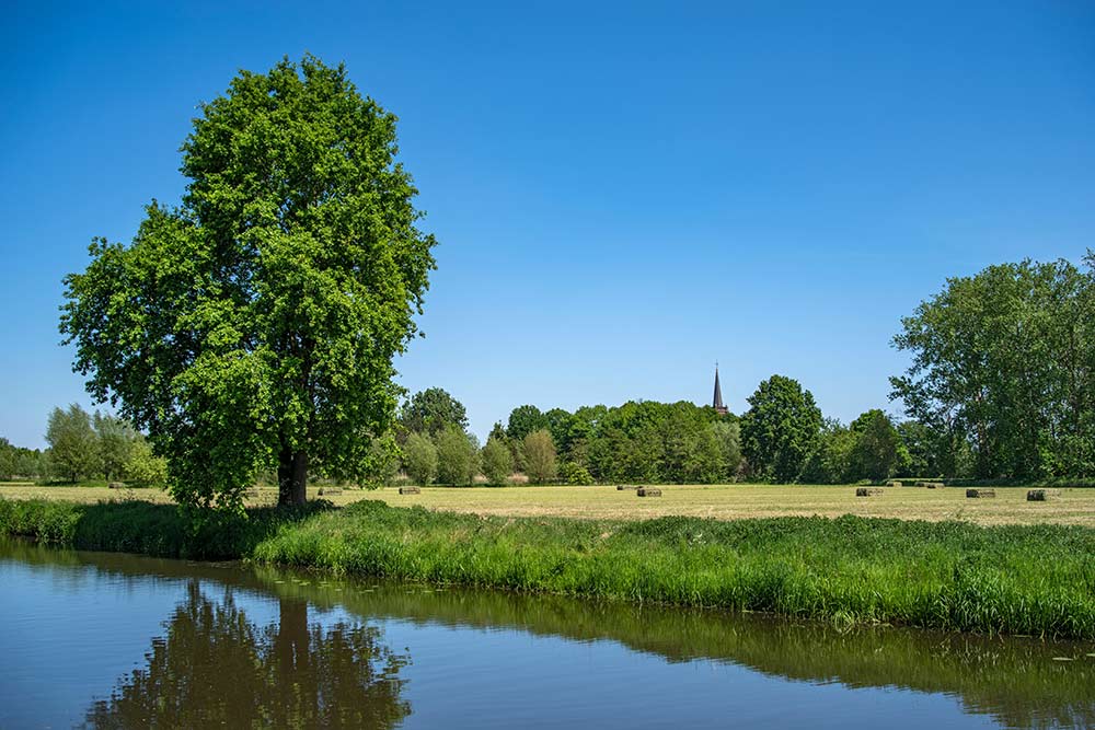 lucas-van-oort-zsF5LNkfkmI-unsplash