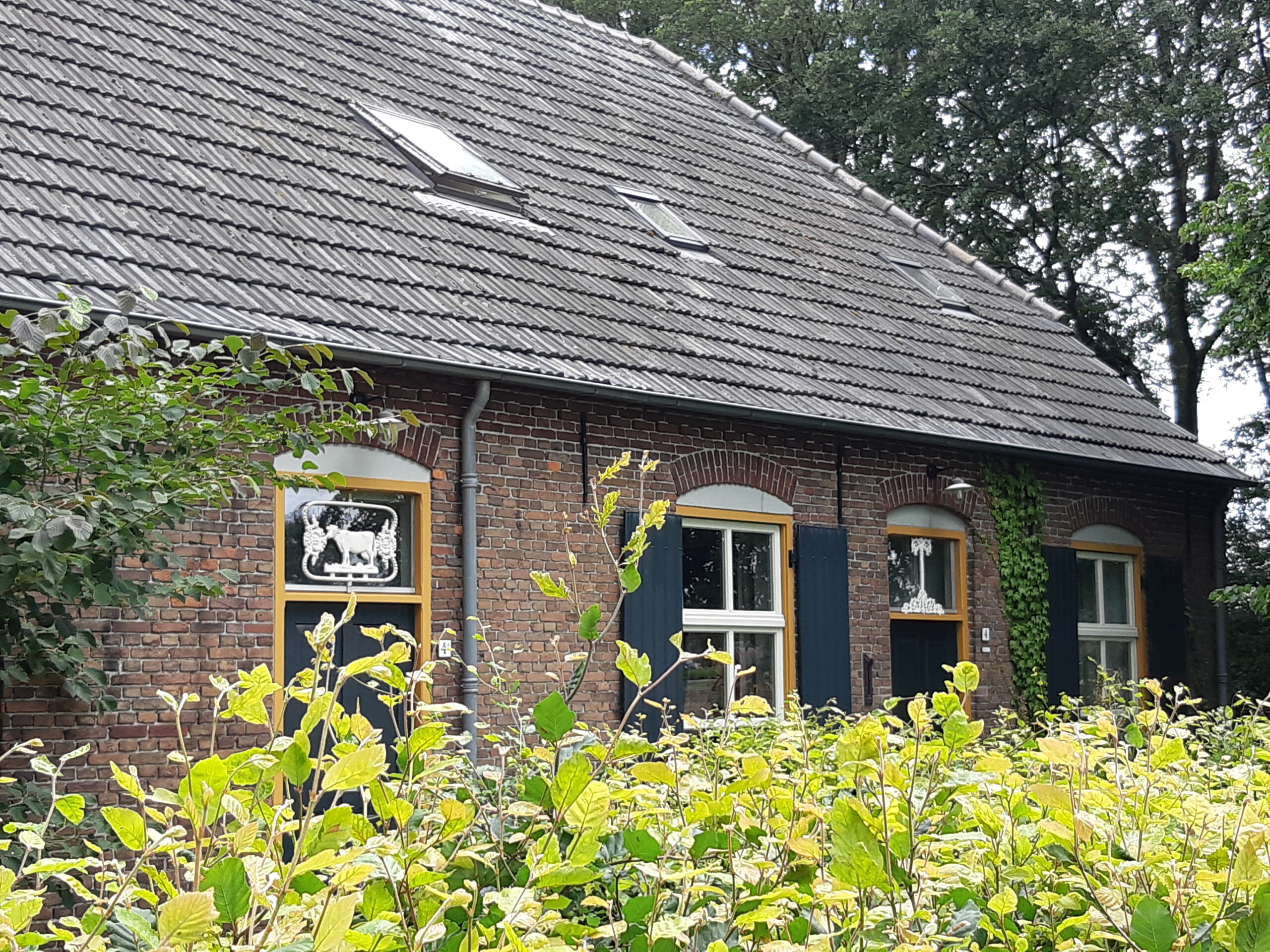boerderijsplitsing Goor